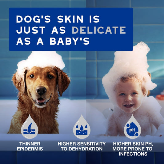 DOUXO Skin & Coat SPA Ultra-Safe Multipurpose Grooming Wipes for Dogs and Cats