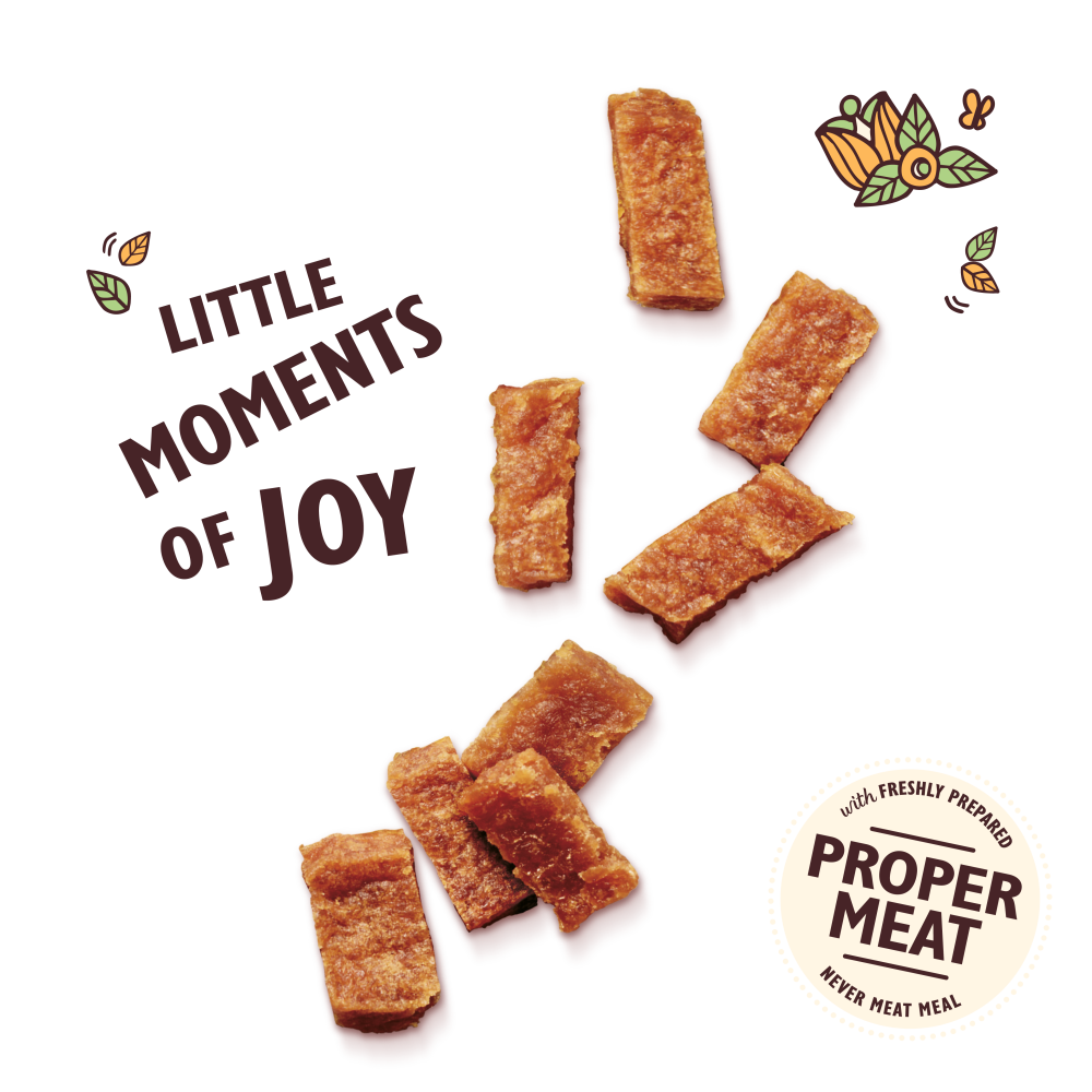 Lilys Kitchen Puppy Chicken & Salmon Nibbles 70g