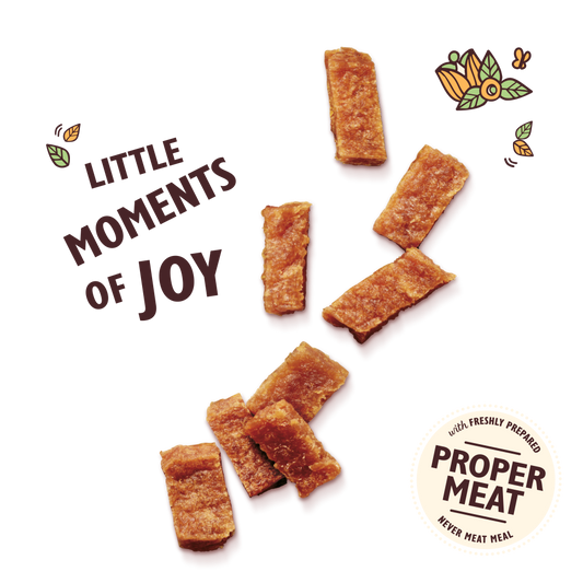 Lilys Kitchen Puppy Chicken & Salmon Nibbles 70g