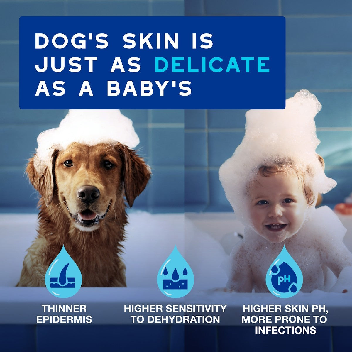 DOUXO Skin & Coat SPA Ultra-Safe Ear Cleaner for Dogs and Cats 120ml