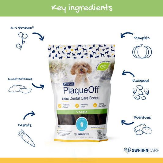 Plaque Off Dental Care Bones 482g