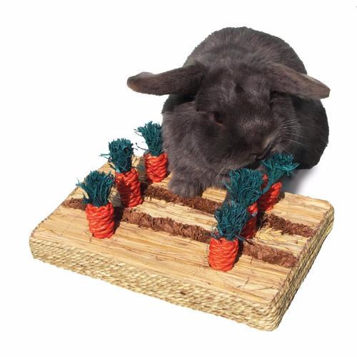 Rosewood Boredom Breaker Carrot Patch Small Animal Toy
