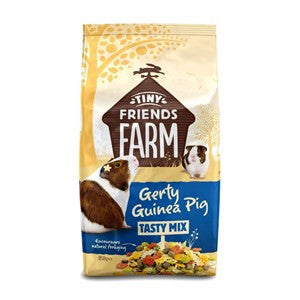 Tiny Friends Farm Gerty Guinea Pig 2.5kg - Pica's Pets
