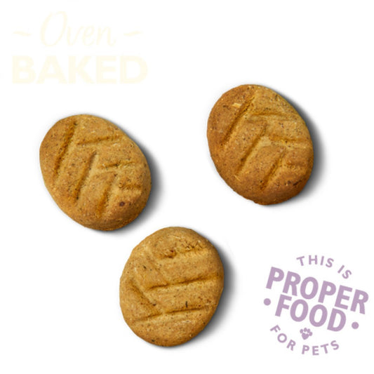 Lily's Kitchen Bedtime Biscuits Dog Treats