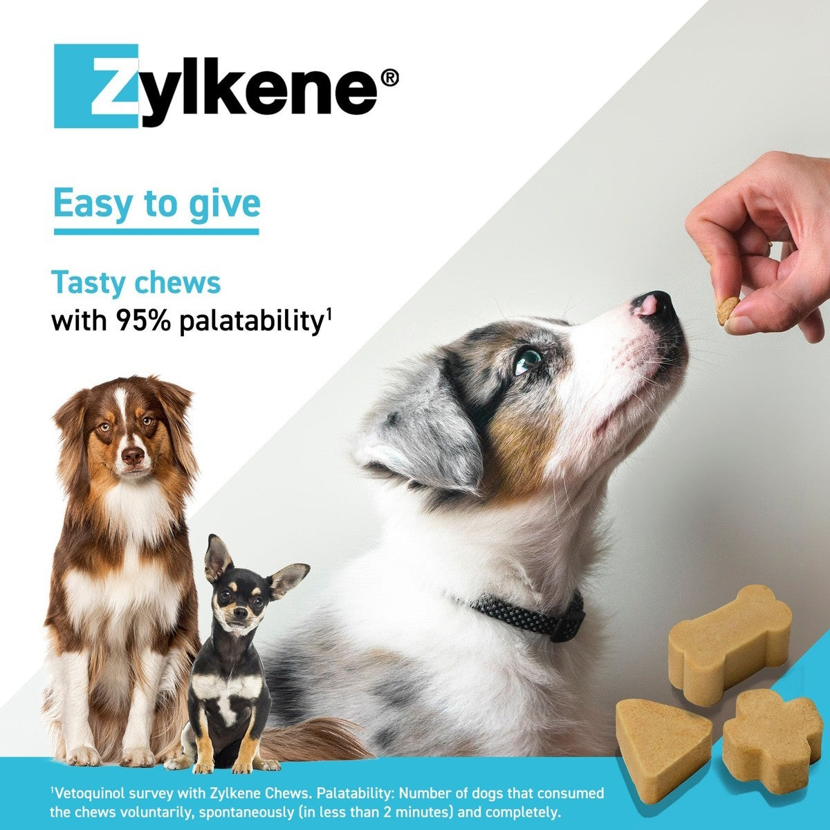 Zylkene Calming Chews for Dogs