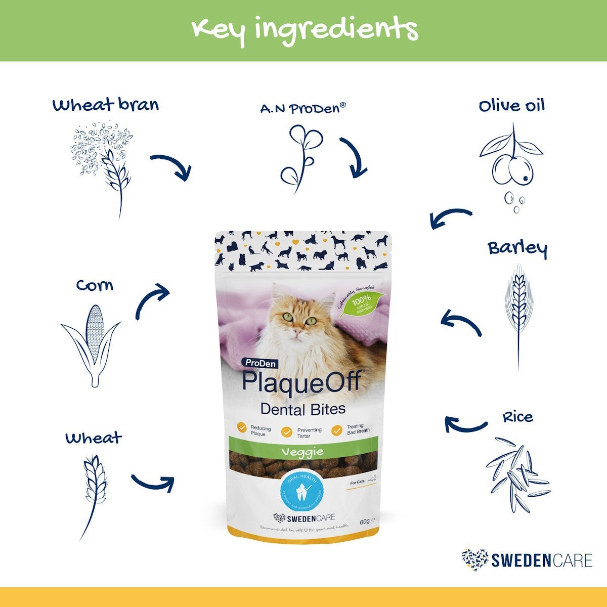 ProDen PlaqueOff Dental Bites for Cats 60g