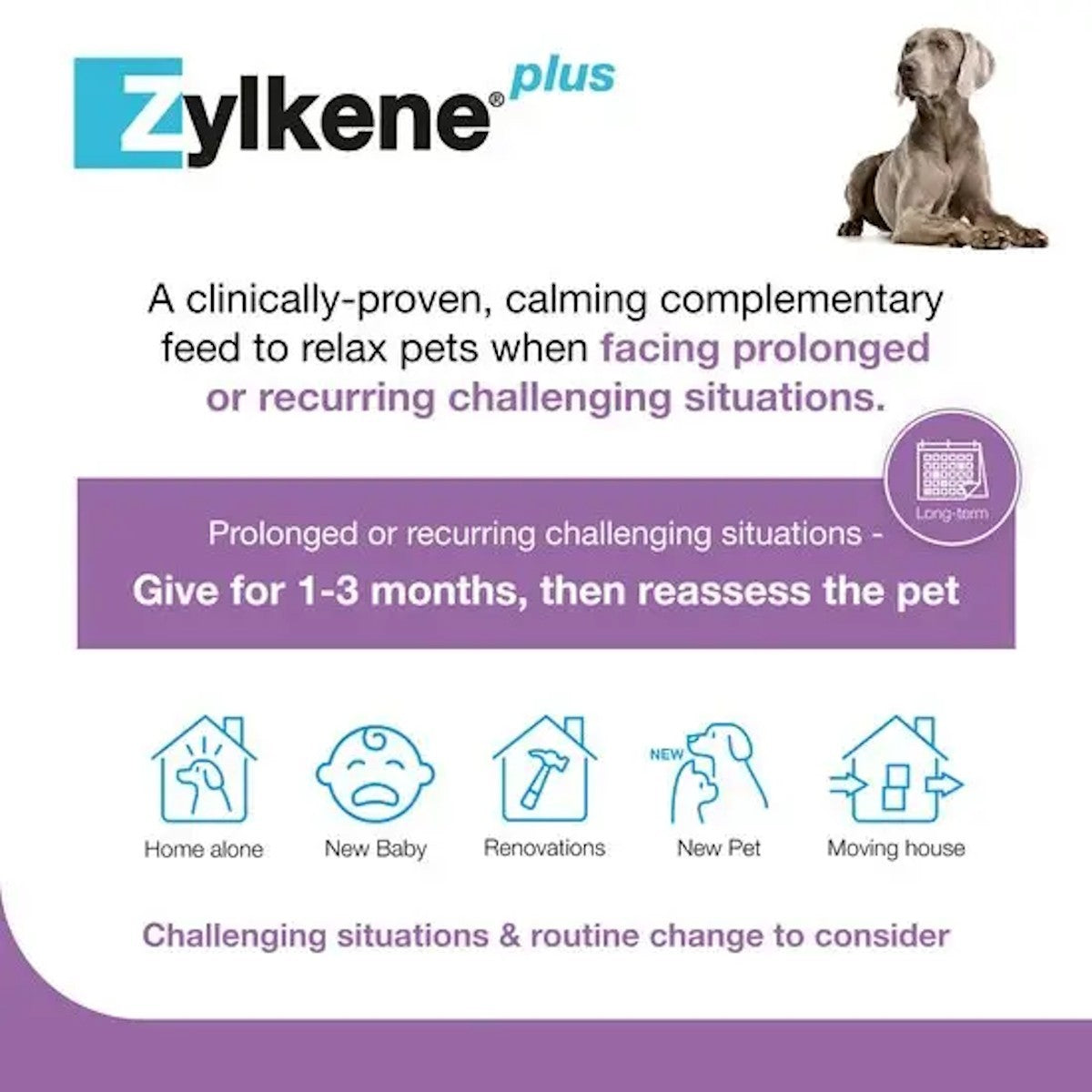 Zylkene Plus Capsules for Cats and Dogs