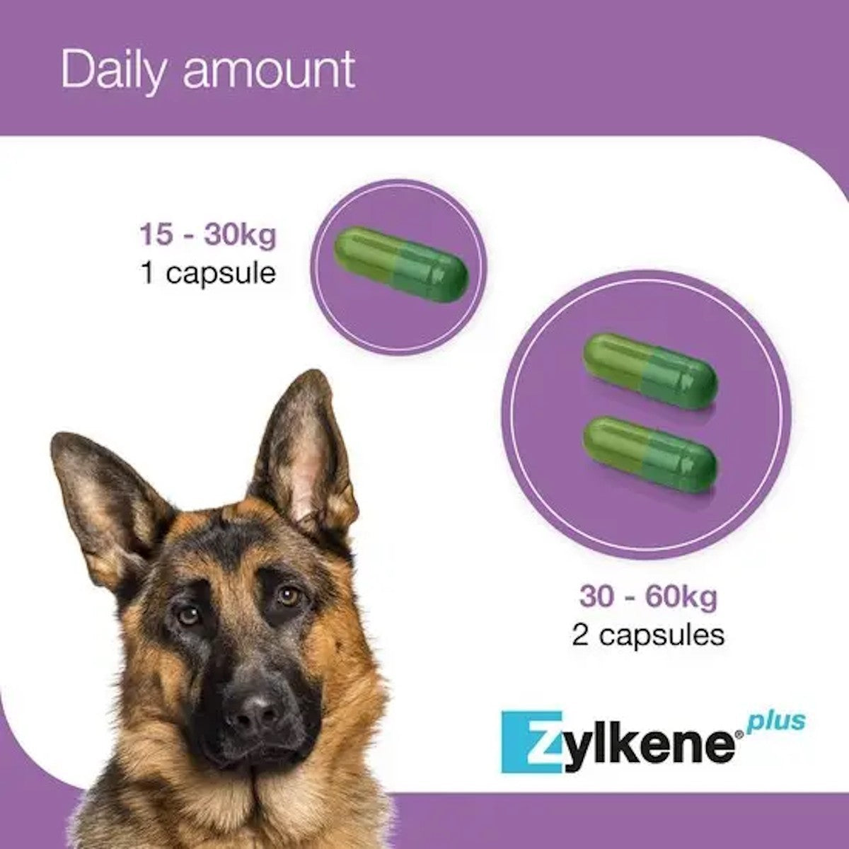Zylkene Plus Capsules for Cats and Dogs
