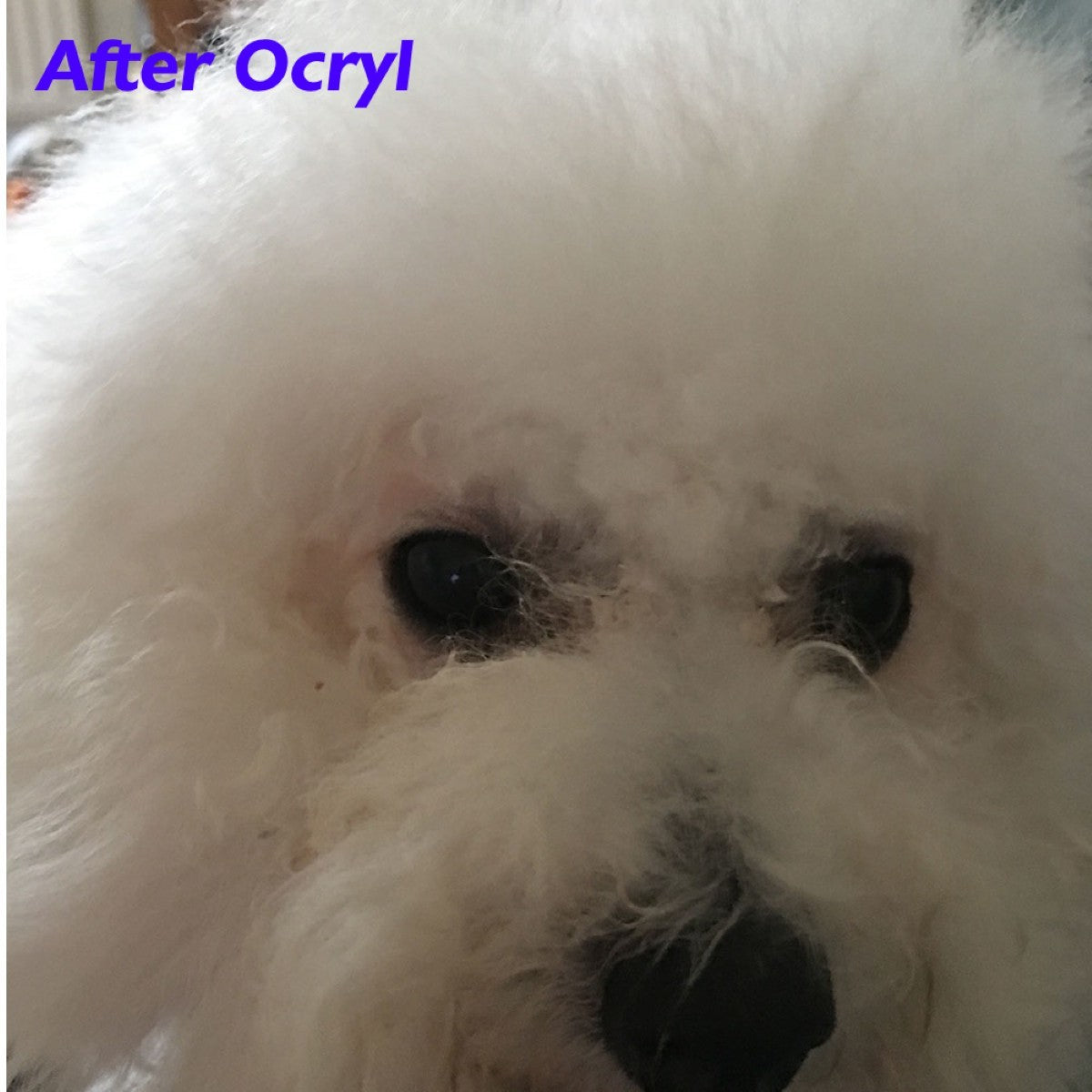 Ocryl Ocular Solution 135ml