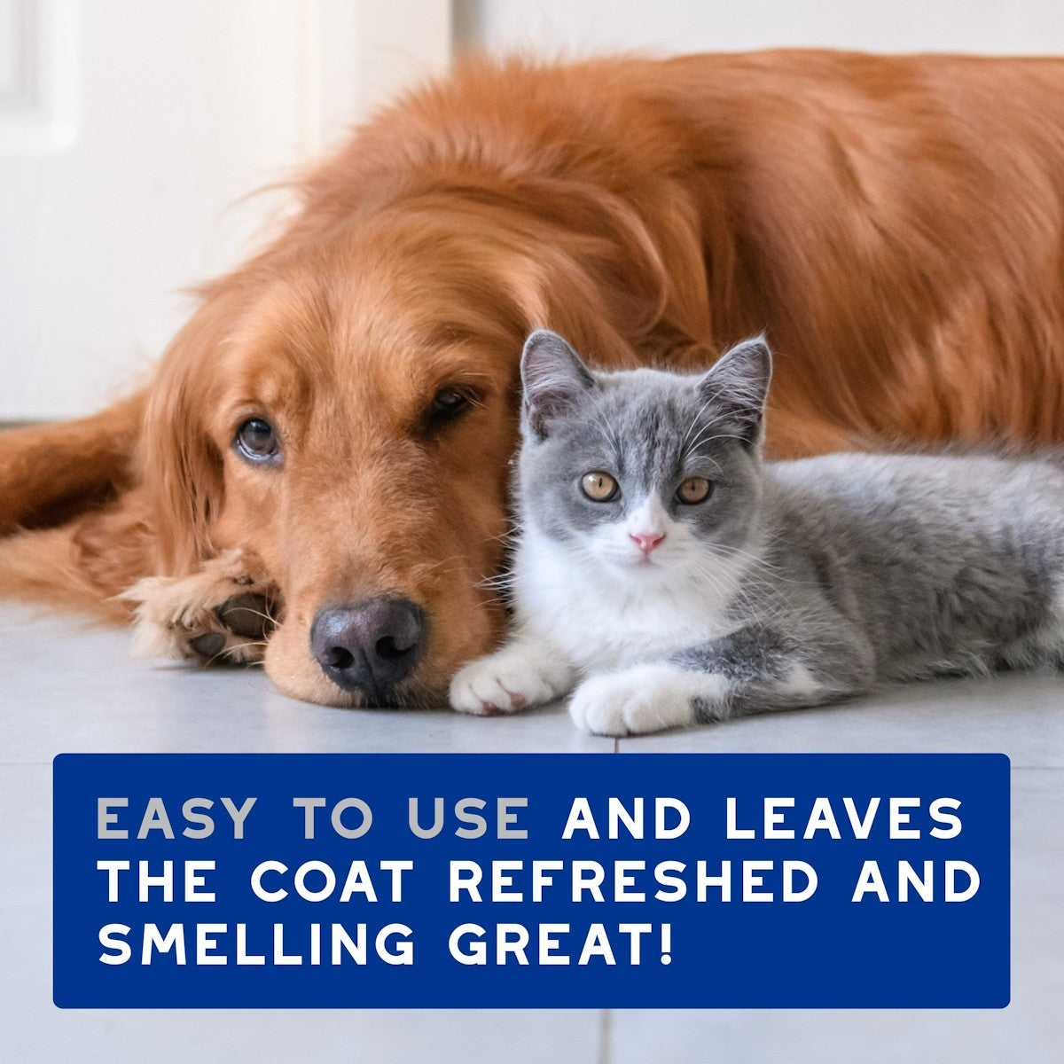 DOUXO Skin & Coat SPA Ultra-Safe Multipurpose Grooming Wipes for Dogs and Cats