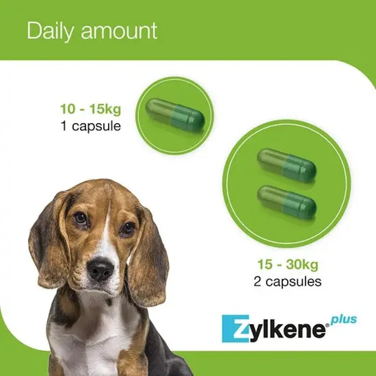 Zylkene Plus Capsules for Cats and Dogs