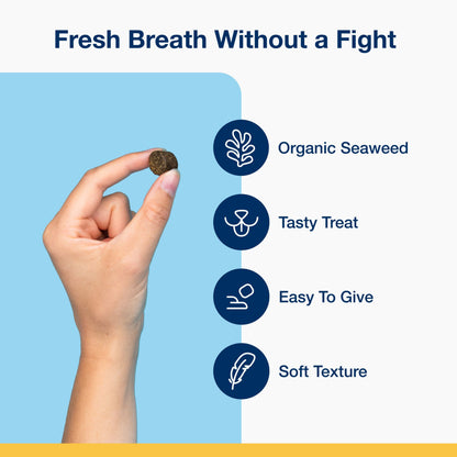 Proden Plaque off Dental Soft Chews for Dogs