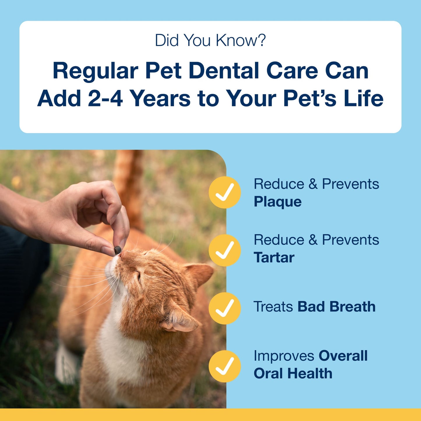 Proden Plaque off Dental Soft Chews for Cats