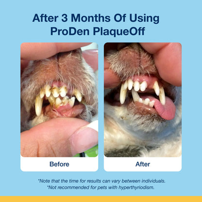 Proden Plaque off Dental Soft Chews for Dogs