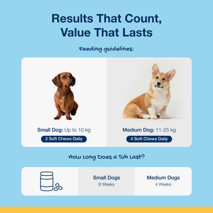 Proden Plaque off Dental Soft Chews for Dogs