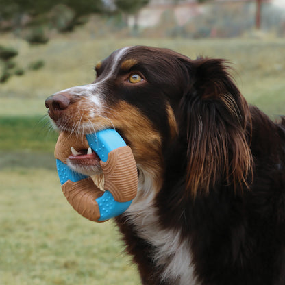 KONG Corestrength Bamboo Bone Large