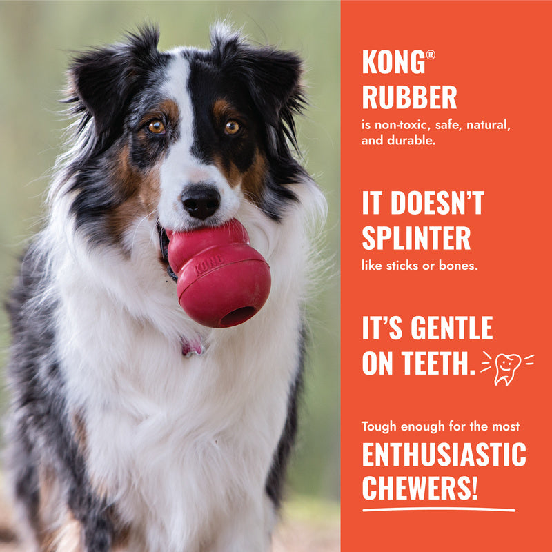 KONG Aqua with Rope