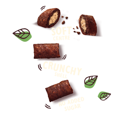 Lilys Kitchen Cat Salmon Treats 60g