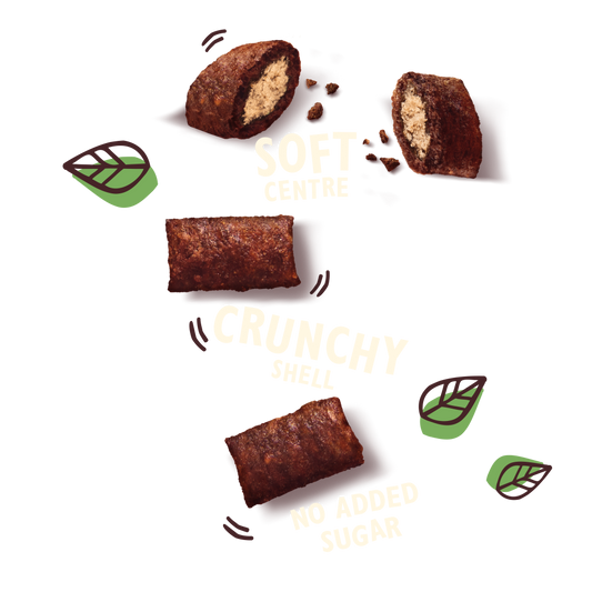 Lilys Kitchen Cat Salmon Treats 60g