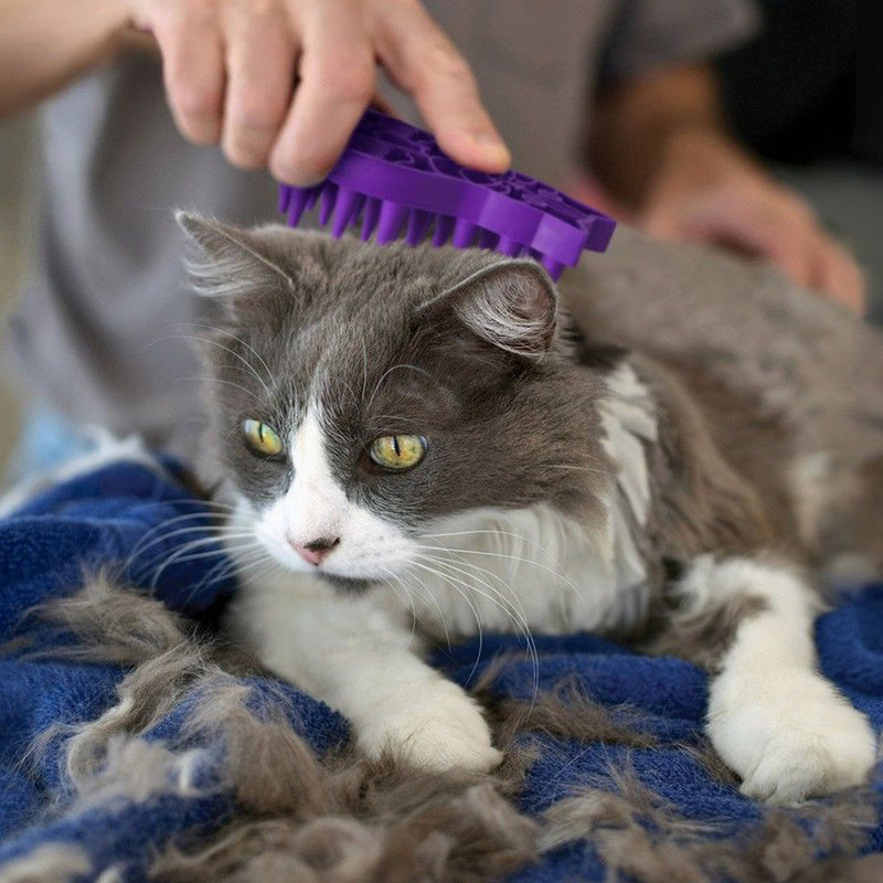 KONG Zoom Groom for Cats