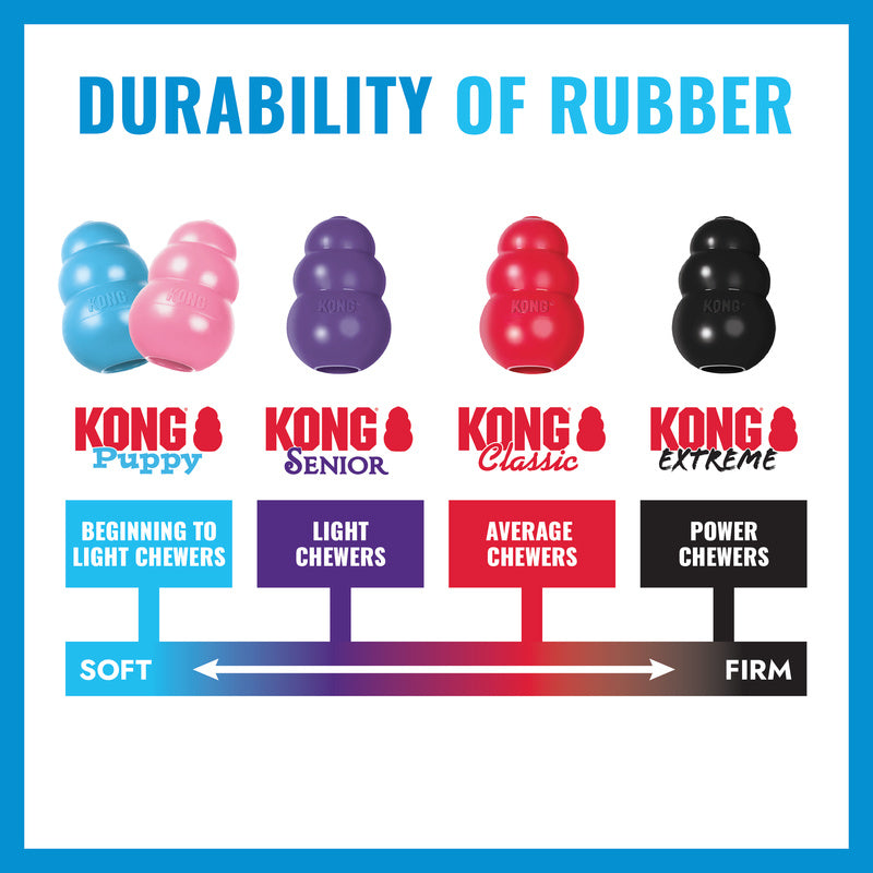 KONG Puppy