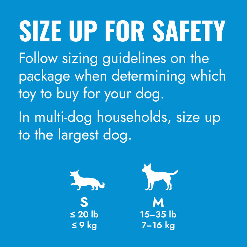 KONG Puppy Activity Ball