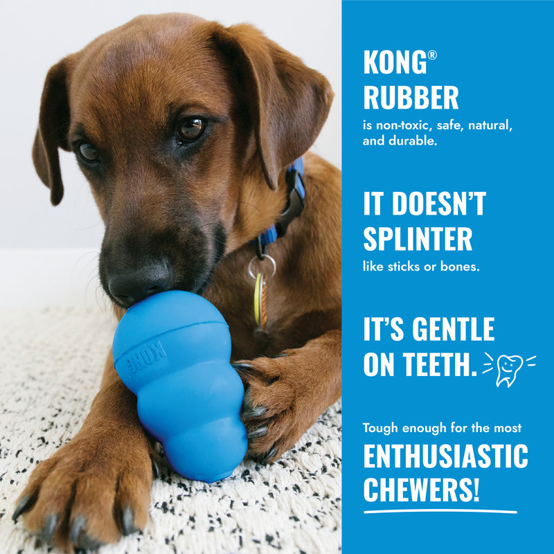 KONG Puppy Activity Ball