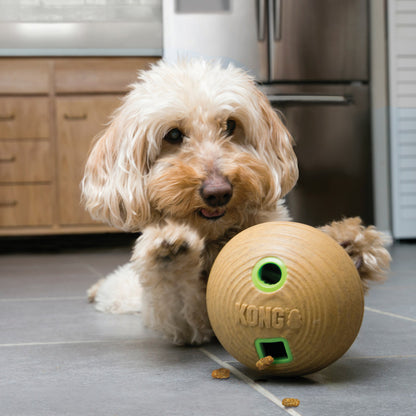 KONG Bamboo Feeder Ball Medium