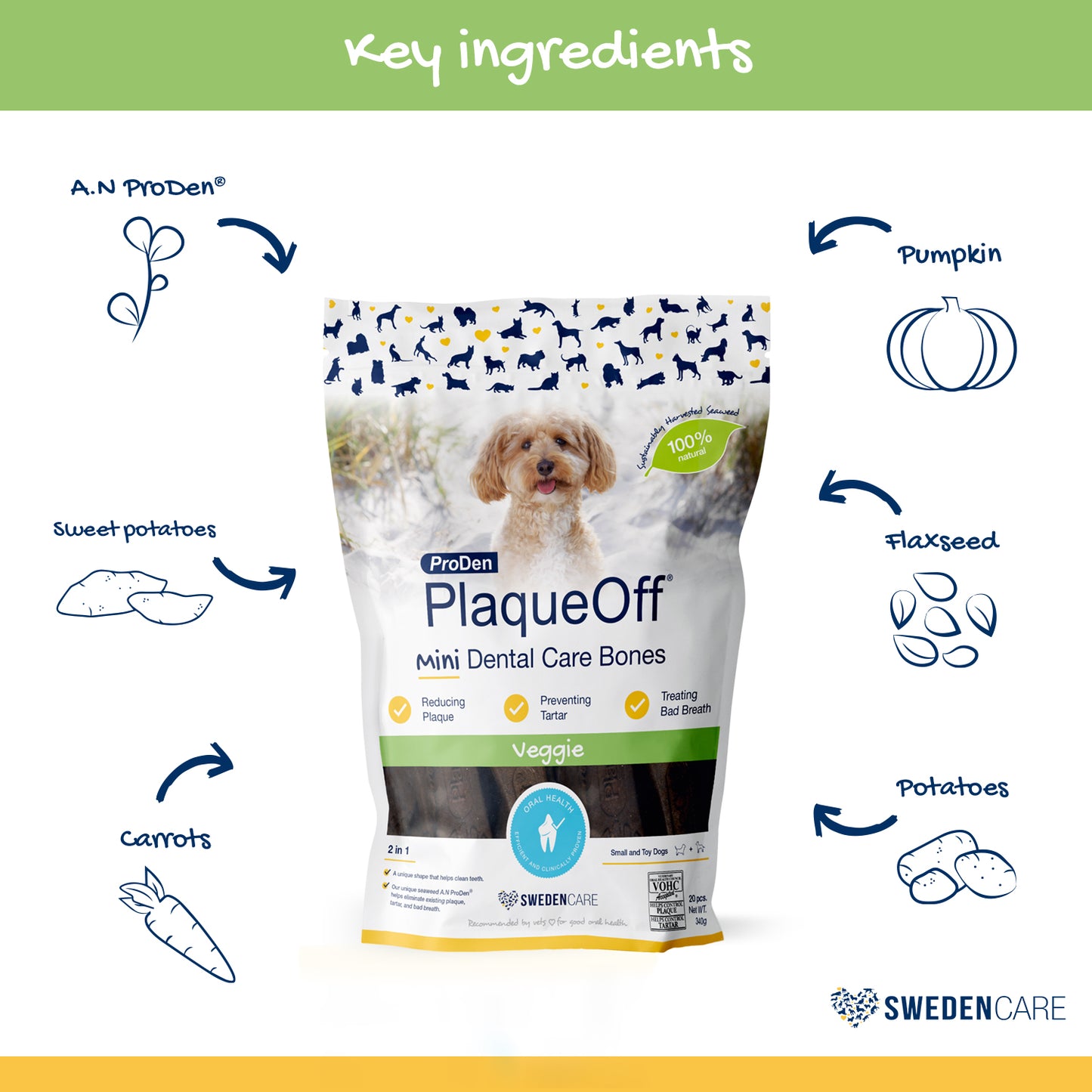 ProDen Plaque Off Mini Bones Dog Treats 340g