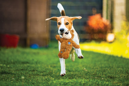 KONG Wild Knots Bear