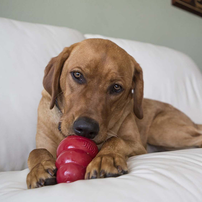 KONG Easy Treat