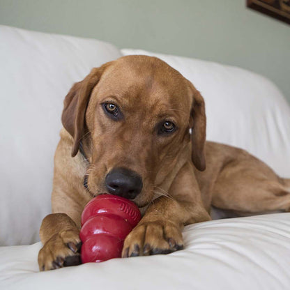 KONG Easy Treat