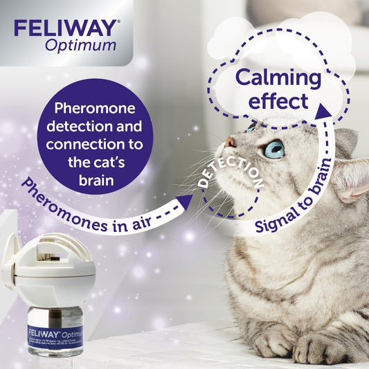 Feliway Optimum Refill 48ml