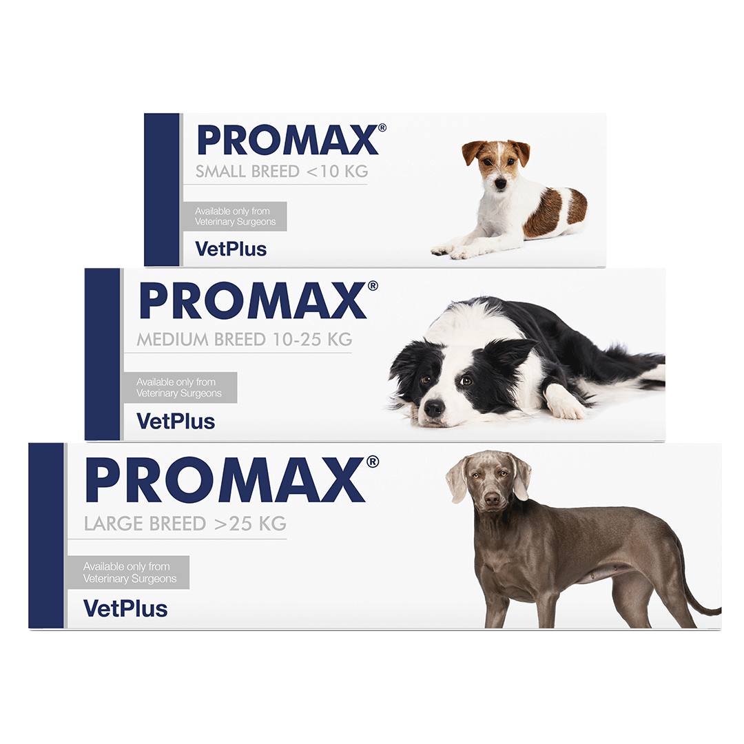 Vetplus Promax - Nutritional Supplement for Cats & Dogs