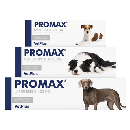 Vetplus Promax - Nutritional Supplement for Cats & Dogs