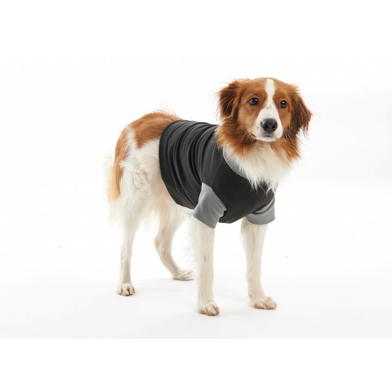Buster Classic Body Suit for Dogs - Pica's Pets