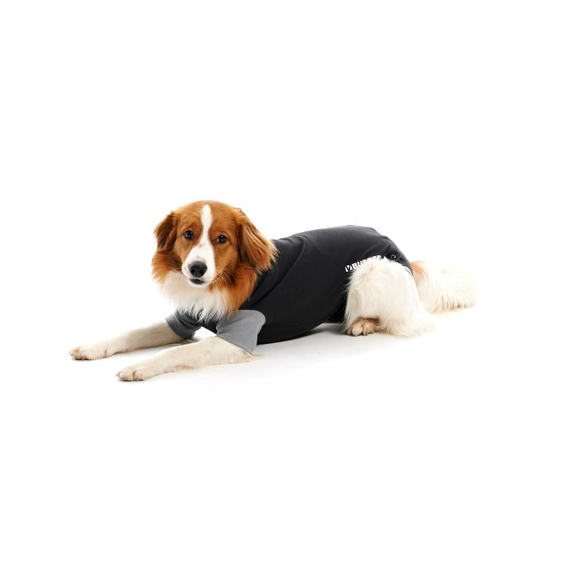 Buster Classic Body Suit for Dogs - Pica's Pets