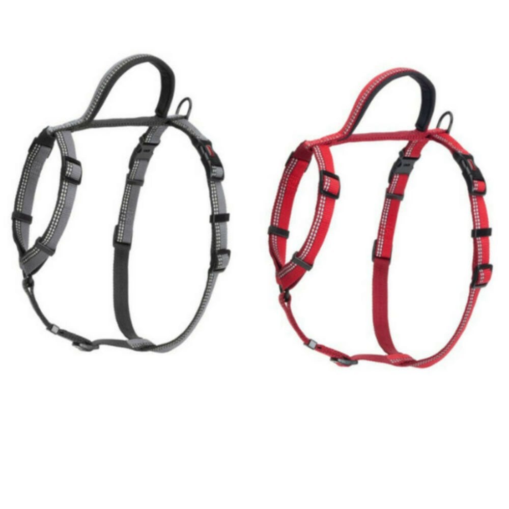Halti Walking Adjustable Dog harness